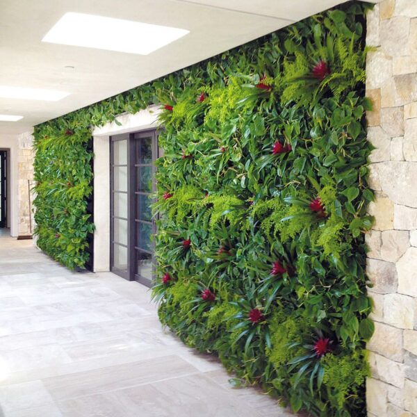 Living Green Wall