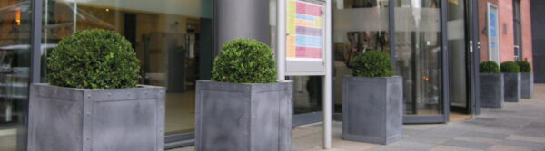 Exterior Plants