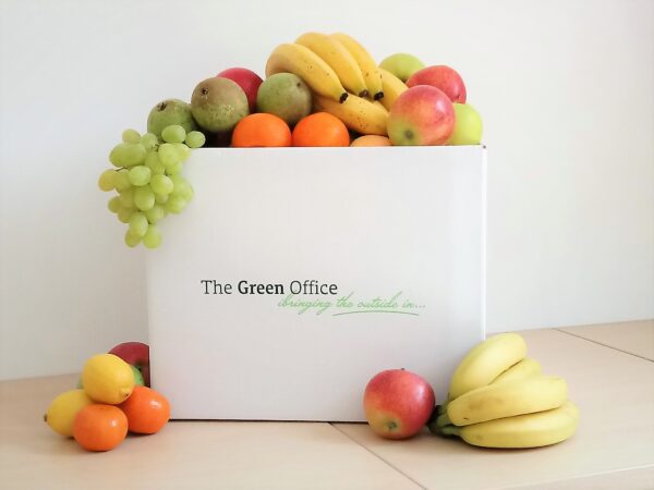 Fruit Box
