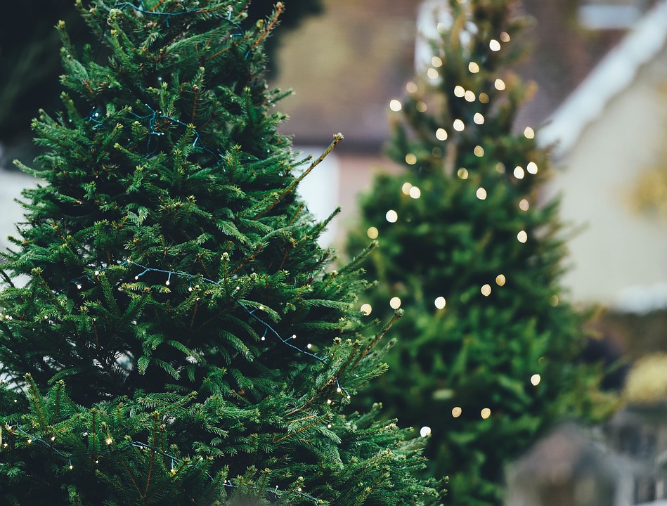 Christmas Tree 1149919 960 720 (1)