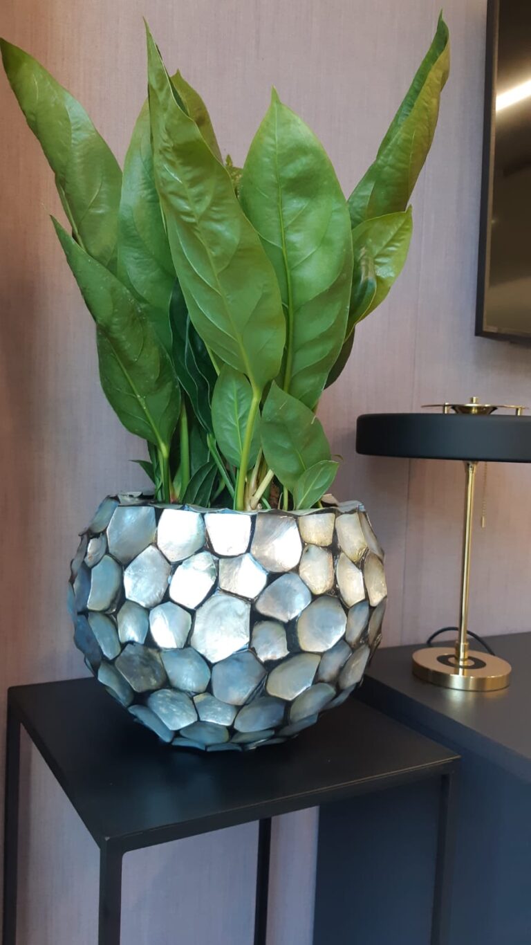 Office Plants London 1