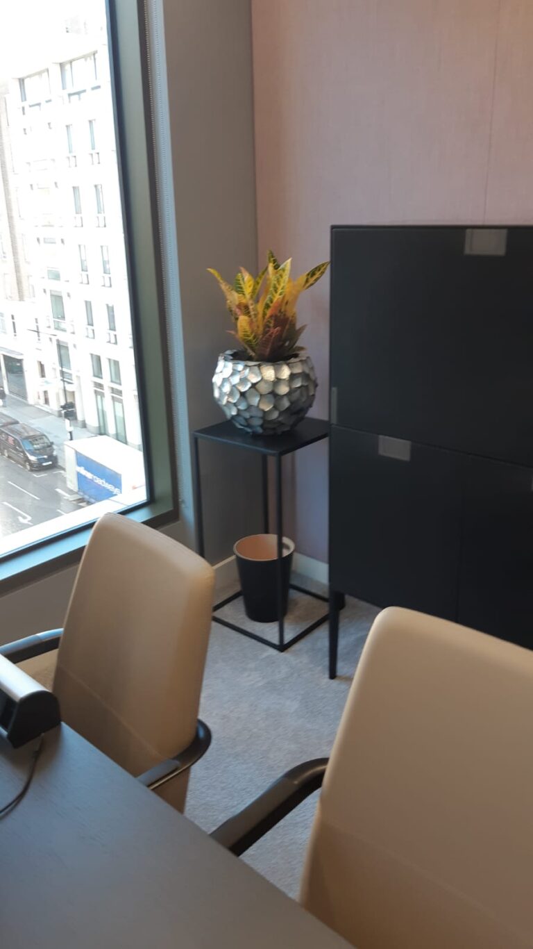 Office Plants London 4