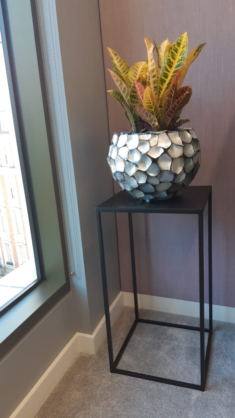 Office Plants London 6