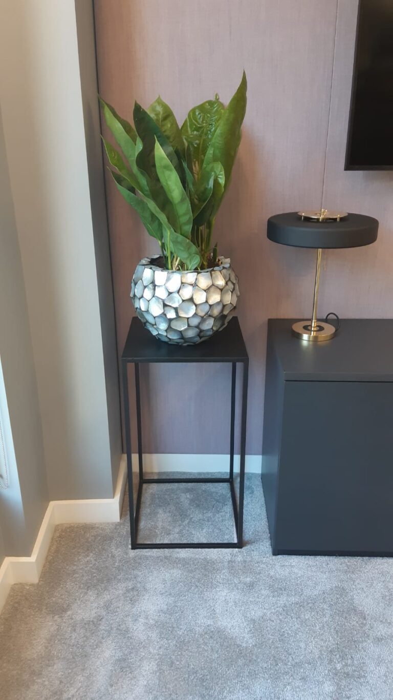Office Plants London 7