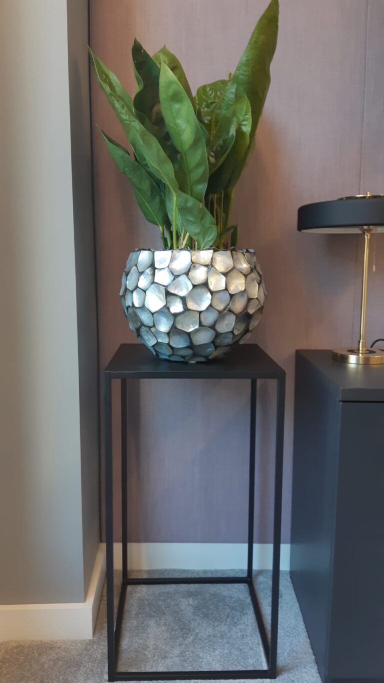 Office Plants London 8