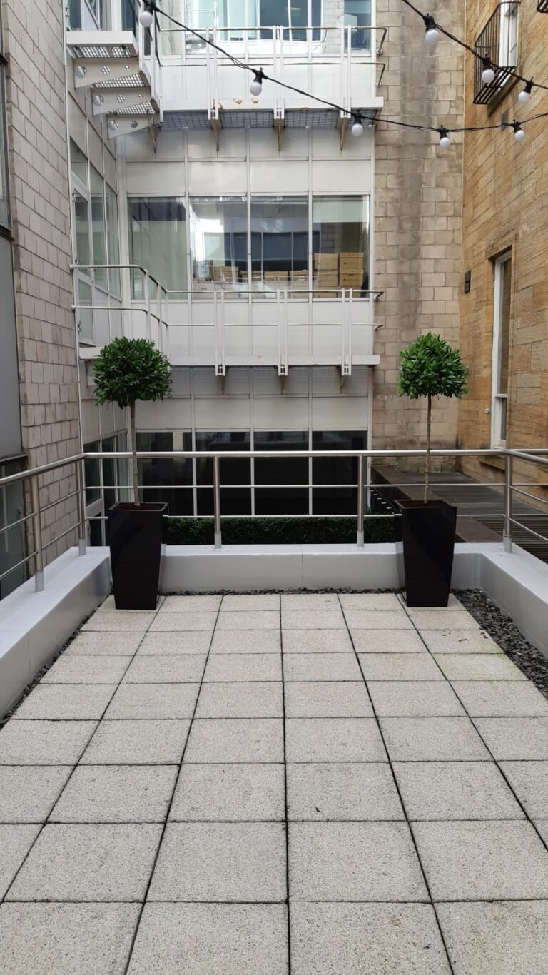 Office Plants Glasgow (1)