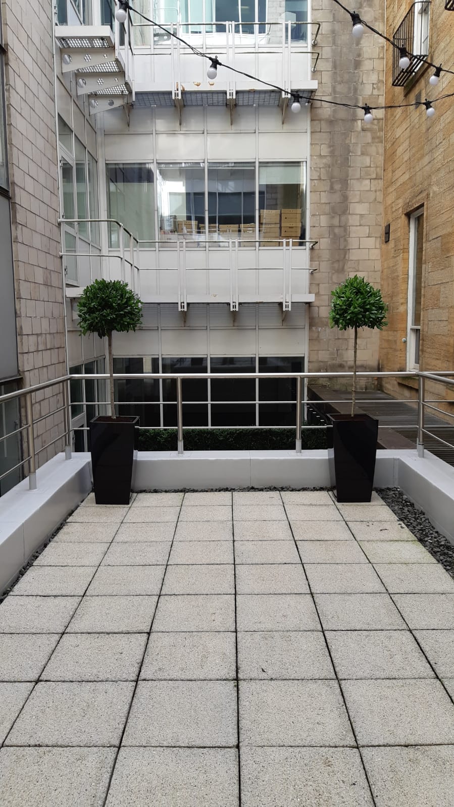 Office Plants Glasgow (1)