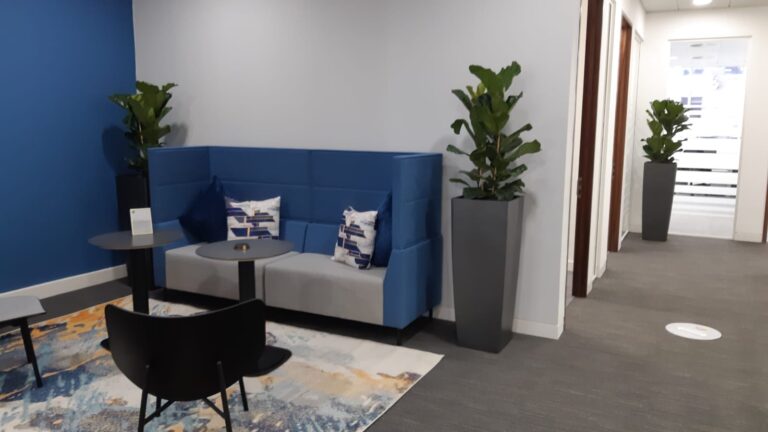 Office Plants Glasgow (2)