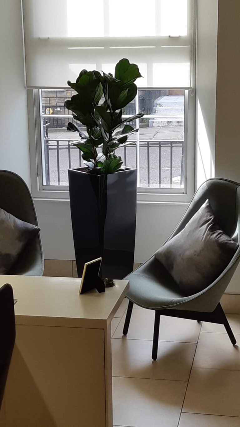 Office Plants Glasgow (4)