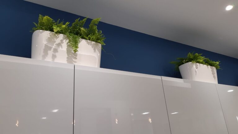Office Plants Glasgow (5)