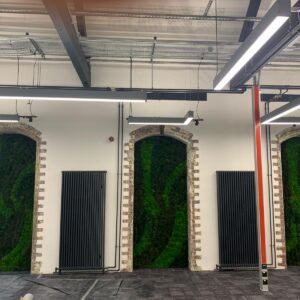 Live Plants & Moss Walls Supplied to a Mill in Lancaster 5 Live Plants & Moss Walls Supplied to a Mill in Lancaster Lancaster Mill Live Plants (1)