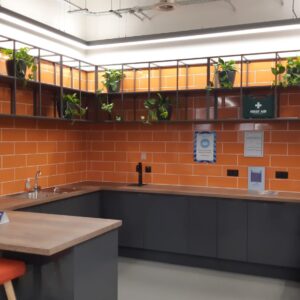 Live Plants & Moss Walls Supplied to a Mill in Lancaster 6 Live Plants & Moss Walls Supplied to a Mill in Lancaster Lancaster Mill Live Plants (2)