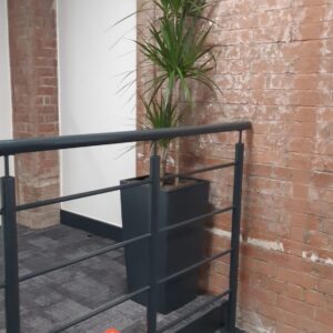 Live Plants & Moss Walls Supplied to a Mill in Lancaster 8 Live Plants & Moss Walls Supplied to a Mill in Lancaster Lancaster Mill Live Plants (4)