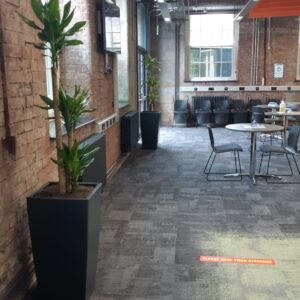 Live Plants & Moss Walls Supplied to a Mill in Lancaster 1 Live Plants & Moss Walls Supplied to a Mill in Lancaster Lancaster Mill Live Plants (5)