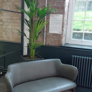 Live Plants & Moss Walls Supplied to a Mill in Lancaster 4 Live Plants & Moss Walls Supplied to a Mill in Lancaster Lancaster Mill Live Plants (8)