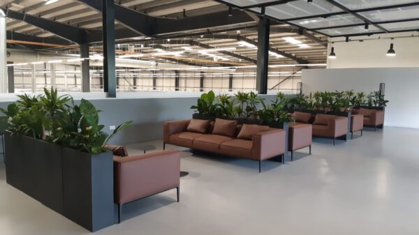 Office Plants Solihull (3)
