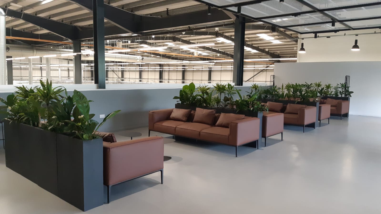 Office Plants Solihull (3)