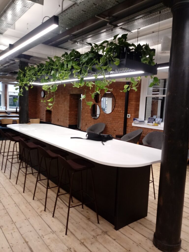 Hanging Plants Refurbished Building1