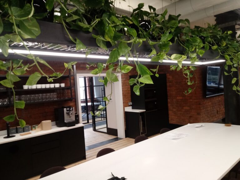 Hanging Plants Refurbished Building2