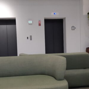 Office Plants Install Manchester (1)