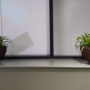 Office Plants Install Manchester (3)