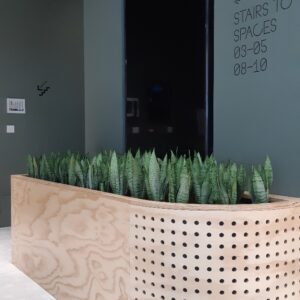 Office Plants Install Manchester (5)