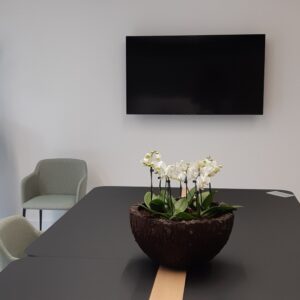Office Plants Install Manchester (7)