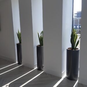 Office Plant Installations in April 1 Office Plant Installations in April Office Plant Installations April (1)
