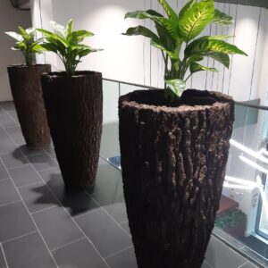 Office Plant Installations in April 3 Office Plant Installations in April Office Plant Installations April (3)
