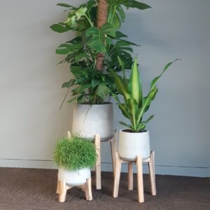 Office Plant Installations in April 7 Office Plant Installations in April Office Plant Installations April (7)