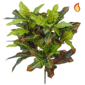 Foliage Croton Green Image