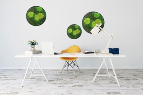 Instant Moss Painting