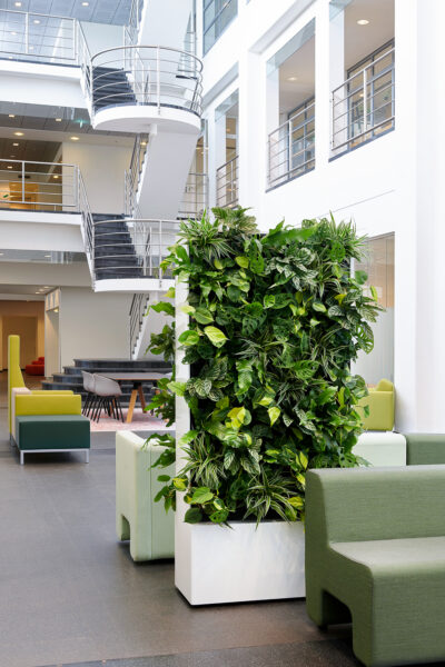 Biophilic Design: Nature’s Game Changer In The Office