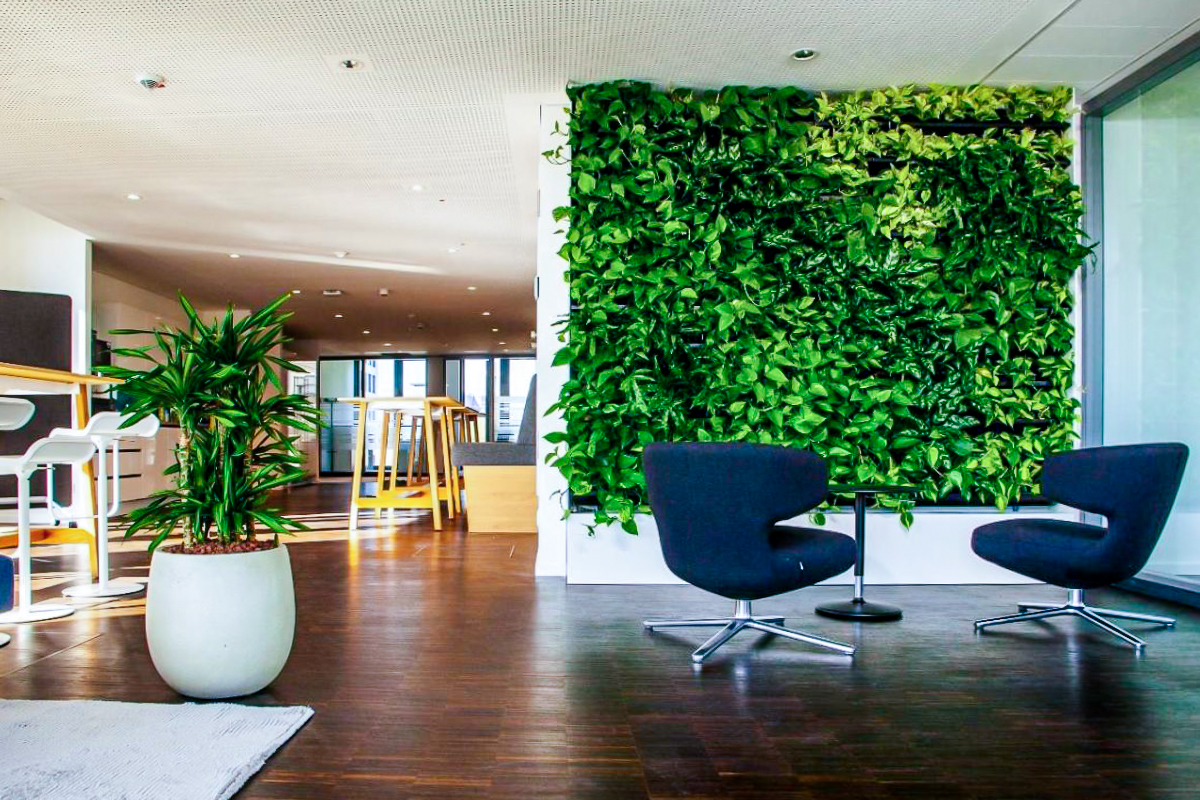 Office Plants