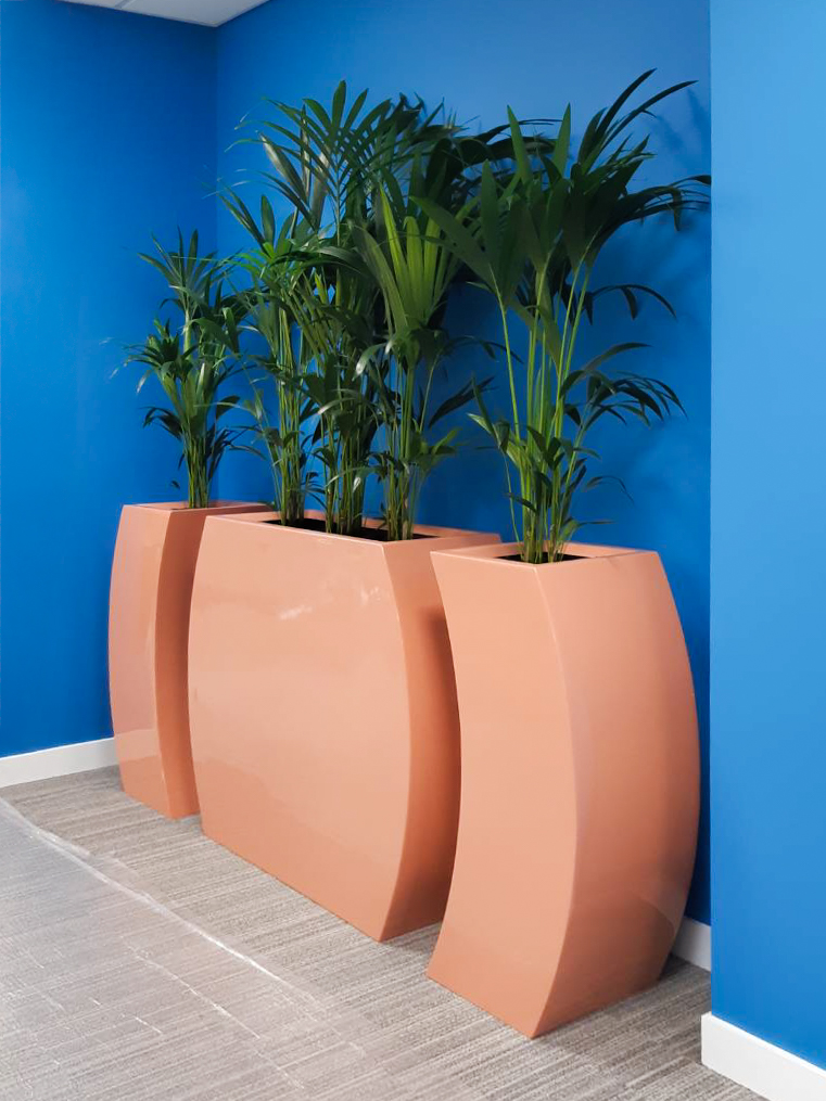 Manchester Medical Install 11