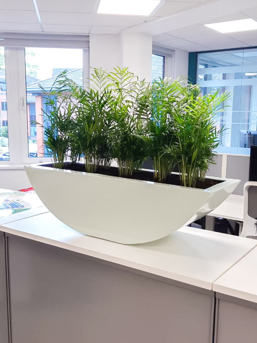 Manchester Medical Install 9 Manchester Medical Company