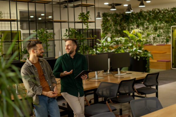 Best Office Plants for Low-Light Workspaces