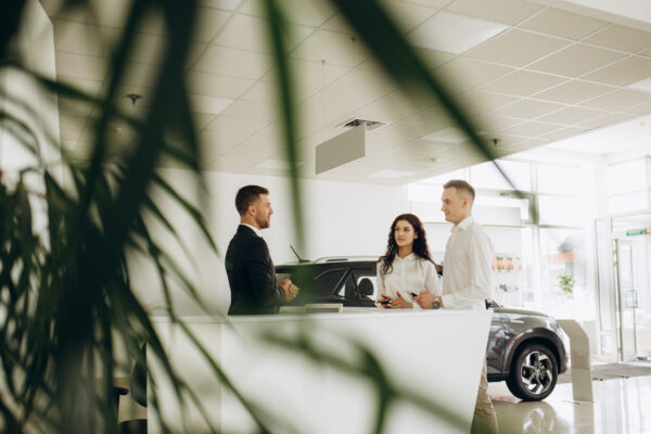 What Are The Best Low Maintenance Plants for Car Showrooms?