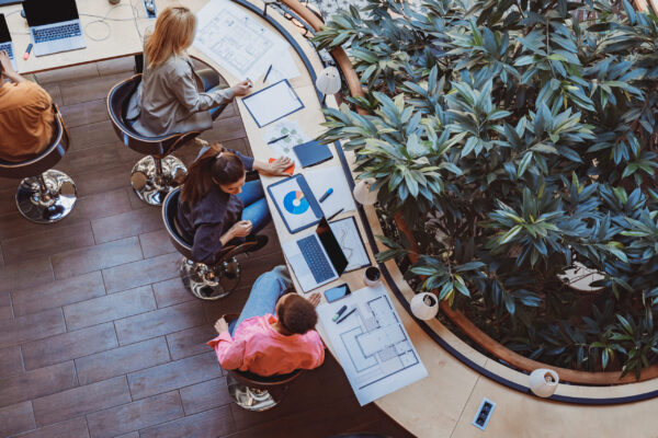 How Can Plants Help Increase Productivity?
