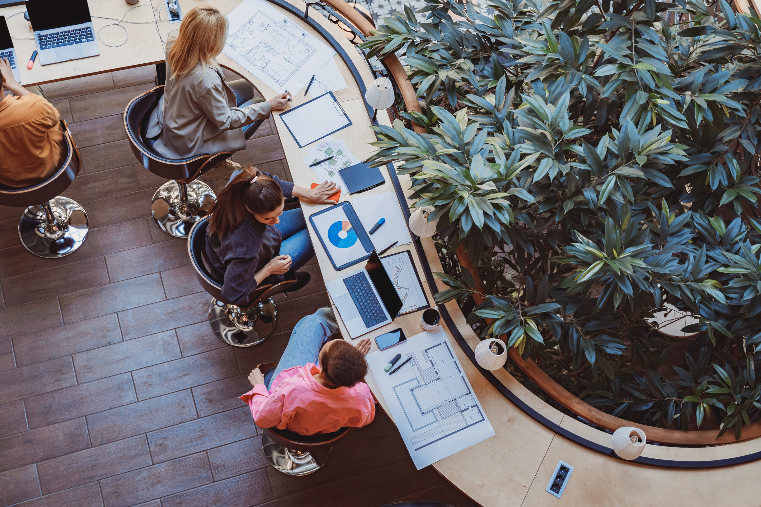 How Can Plants Help Increase Productivity?
