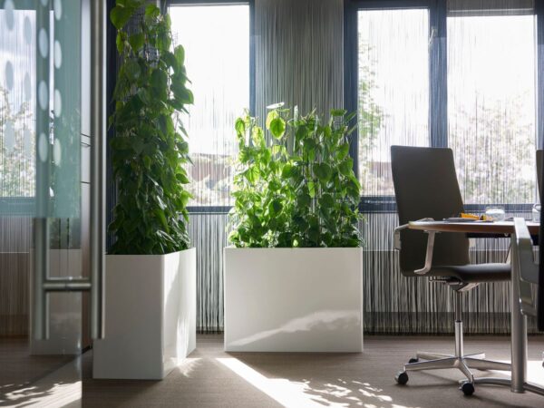 Office Planters