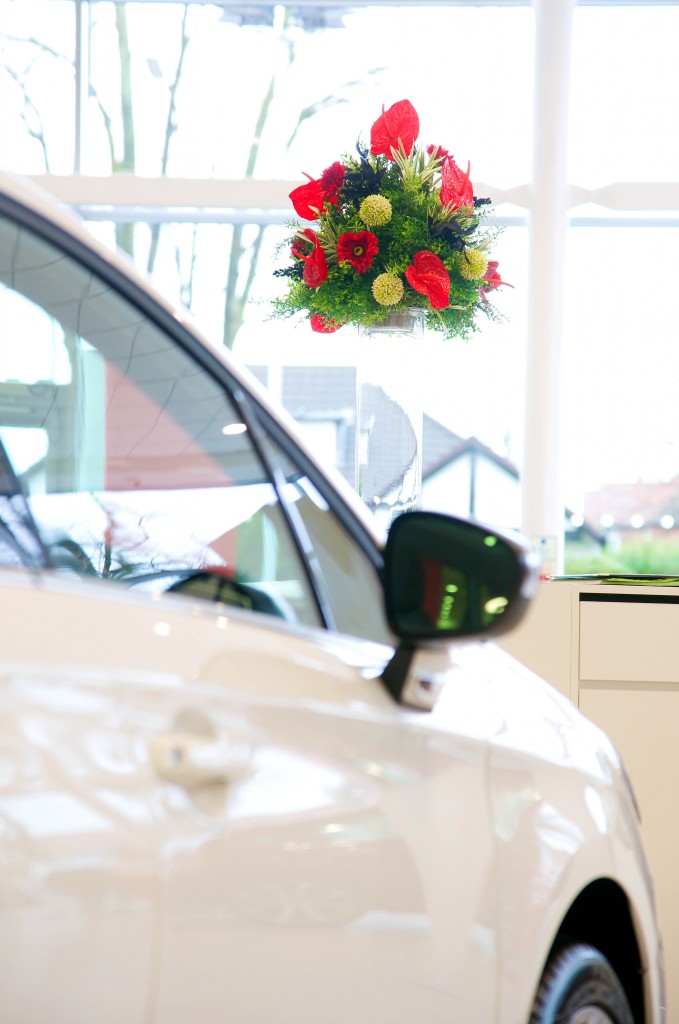 Car showroom 1