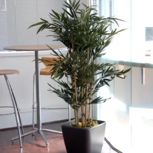 Bamboo Qr43 Graphite