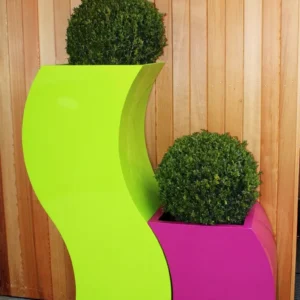 Buxus Ball In Curvy S Planter