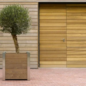 Olive Tree In Superline Planter