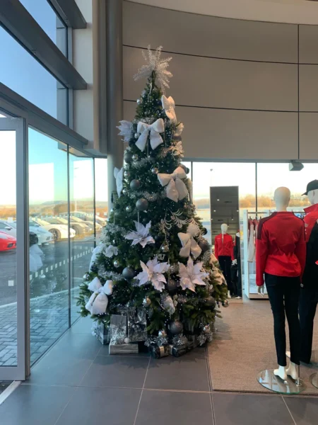 Silver White And Black Tree