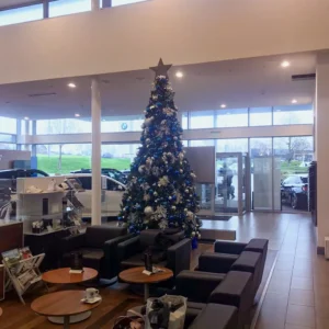 Tree Bmw 1