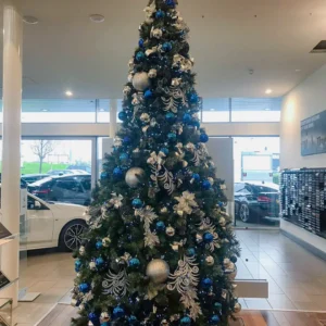 Tree Bmw 3