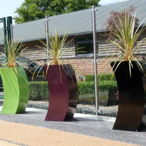 Varigated Yucca Tip In Curvy Planters