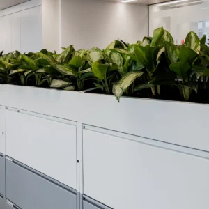 Cabinet Top Planters 1
